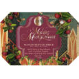 Erb Mystic Mangoteen Natral Bar Soap 100g.