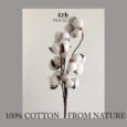 Erb Bespoke Fleurfume White Winter 60 ml.