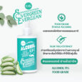 Erb Evergreen Everclean Alcohol gel 300 ml.