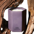 Erb Maison Masculine Fleurfume Aromatic Candle 280 g